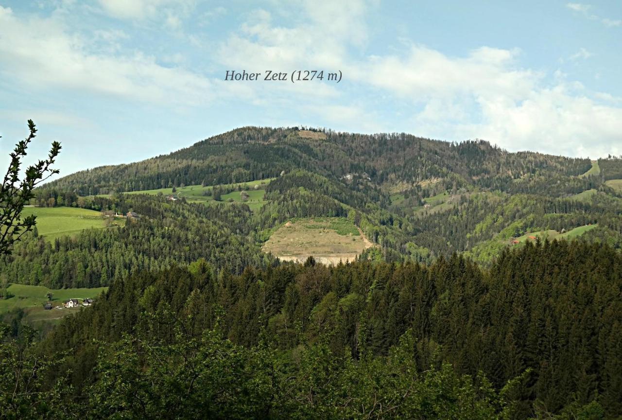 Ferienwohnungen Raczkowski Birkfeld 外观 照片