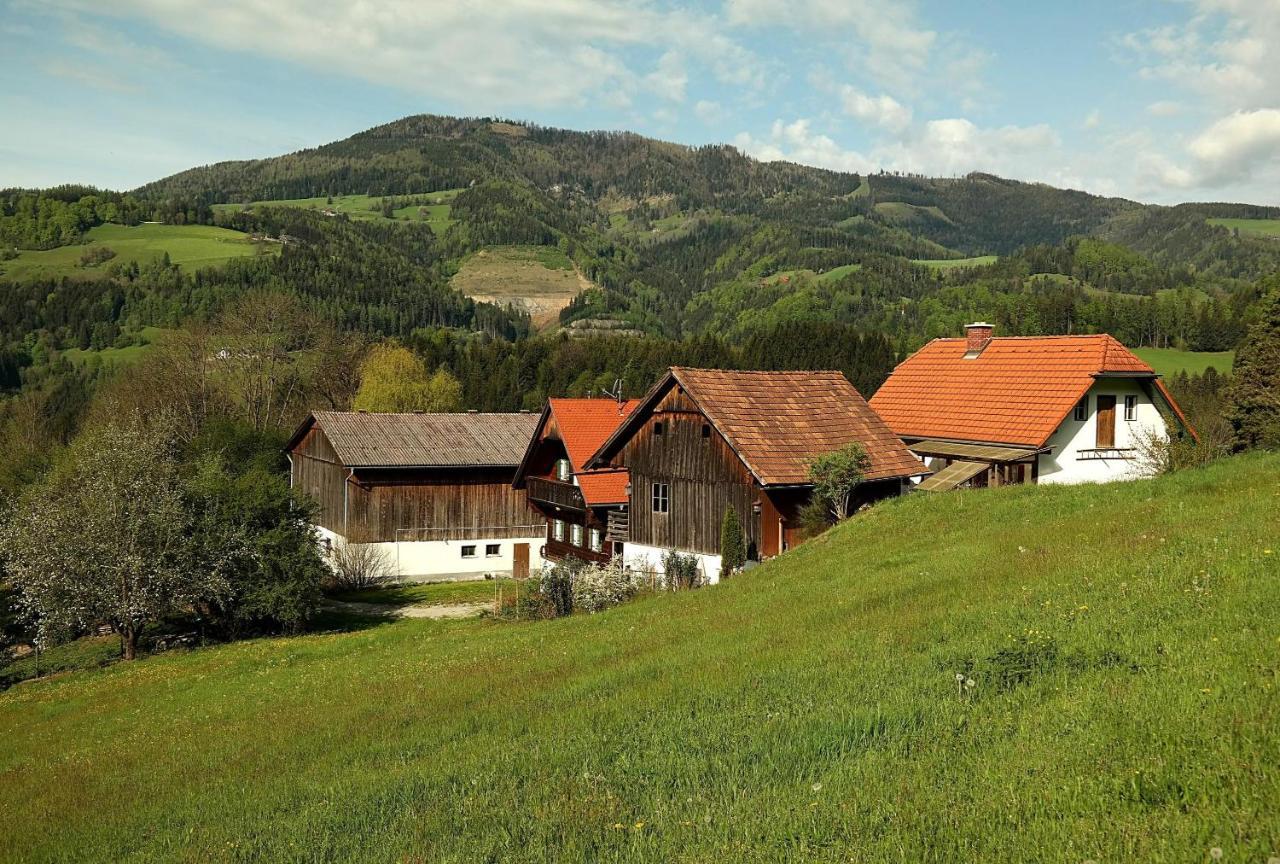Ferienwohnungen Raczkowski Birkfeld 外观 照片